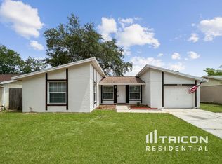 10113 Briarwick Ct, Tampa, FL 33615