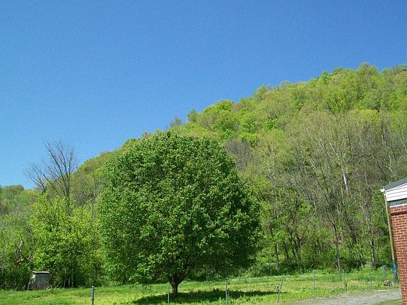 4th image of 6468 Jennings Creek Hwy