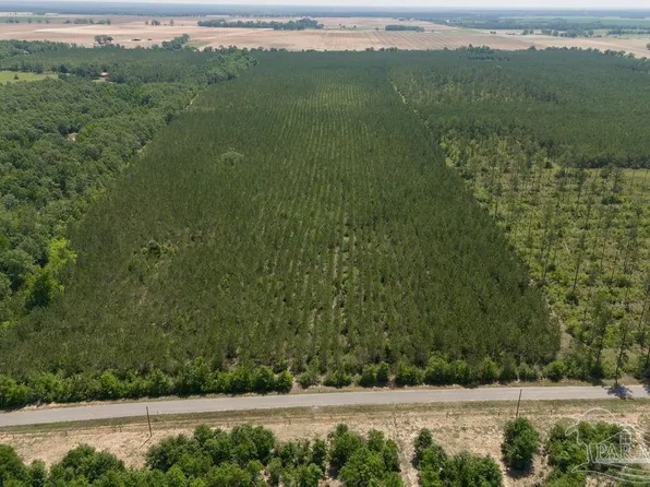 3 Bud Diamond Rd, Jay, FL 32565