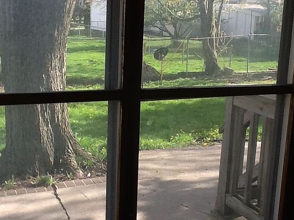 2nd image of 33485 Longwood Dr