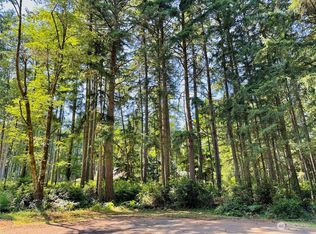 11720 112th Ave, Anderson Island, WA 98303