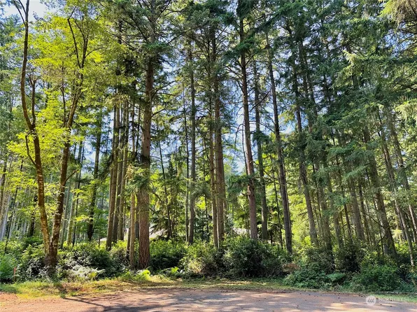 11720 112th Avenue, Anderson Island, WA 98303