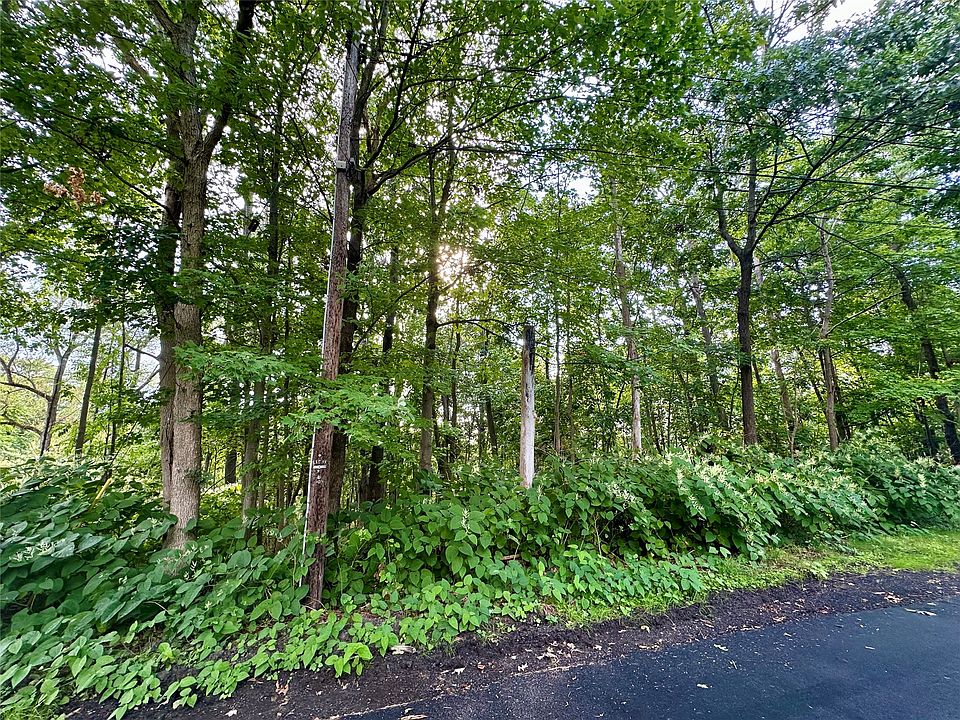 2nd image of 32 Forest Hill Rd