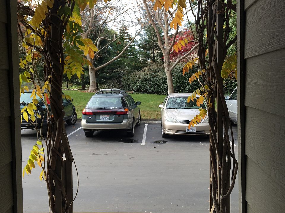 Free Guest parking