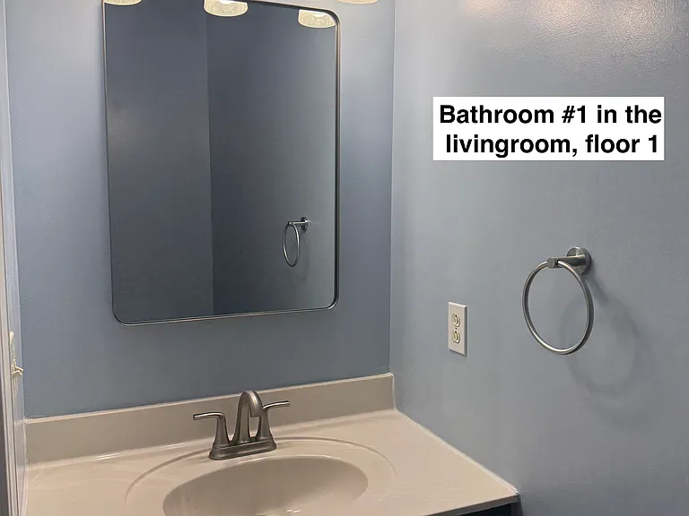 1290 Orange Leaf Ct — Photo 11