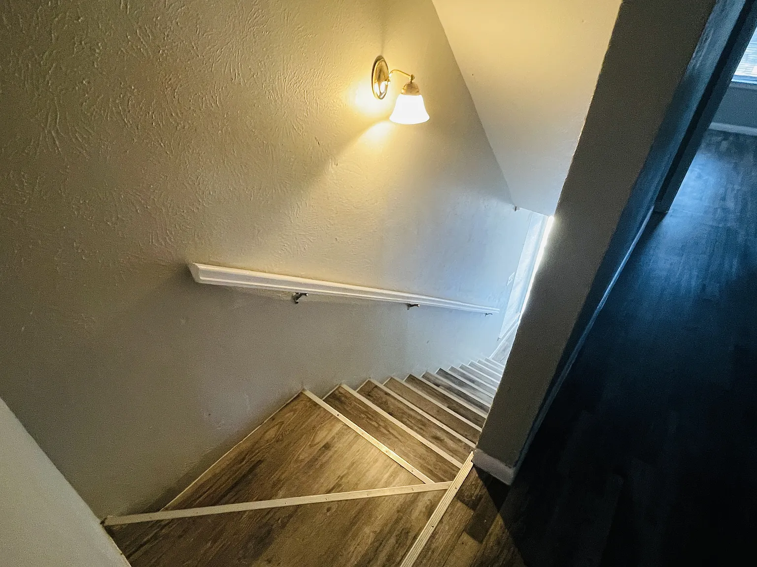 PTRF — Photo 3