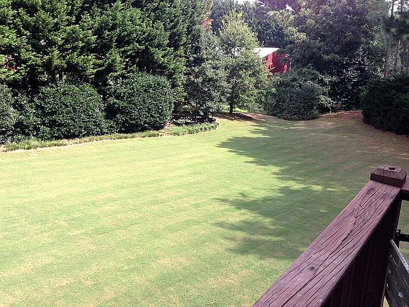 Huge manicured flat backyard