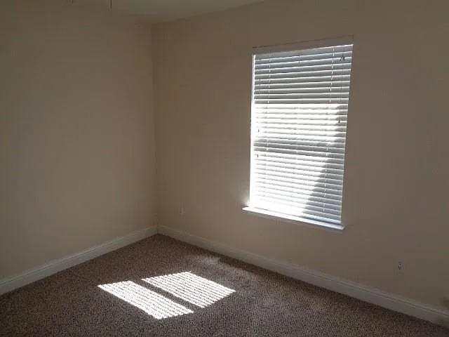 11310 Seven Sisters Dr — Photo 11