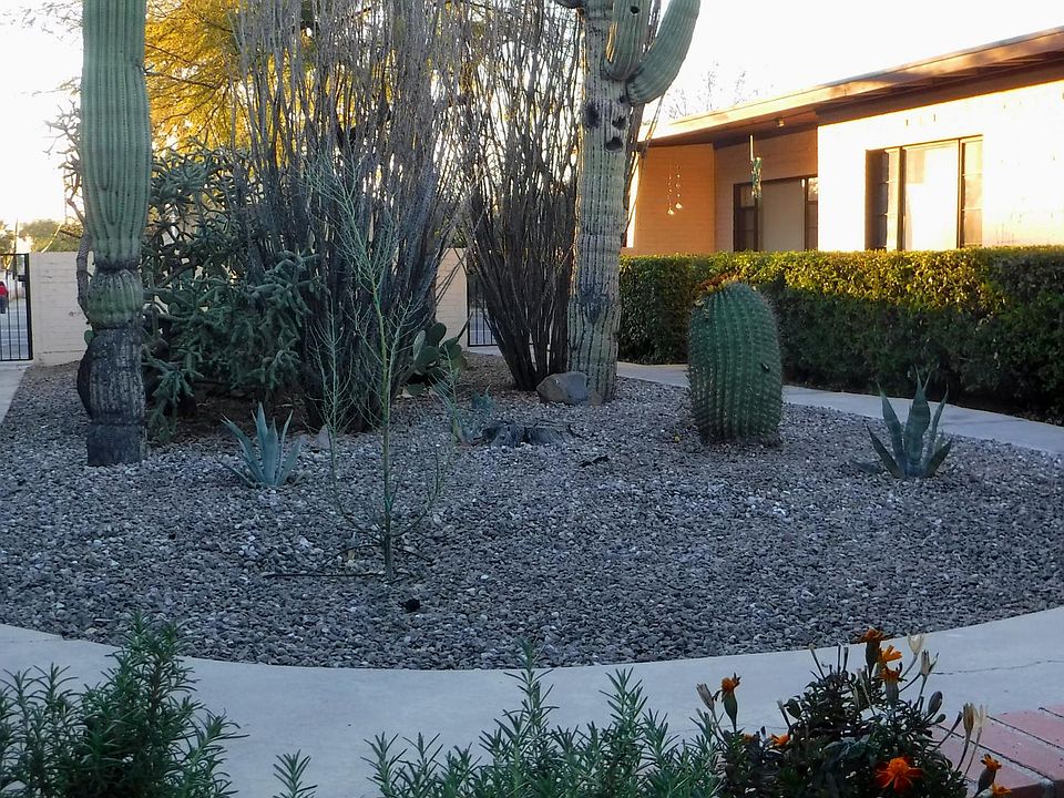 Welcome to the Cactus Garden!