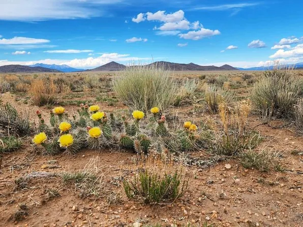 TBD Uris Ave, San Acacio, CO 81151