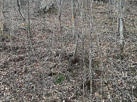 5th image of 0 Bull Hollow Rd