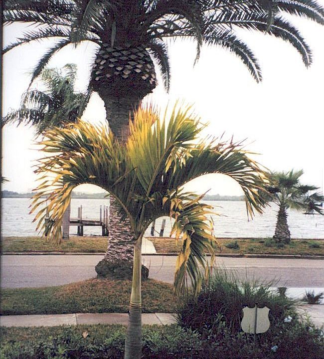 Water view/dock