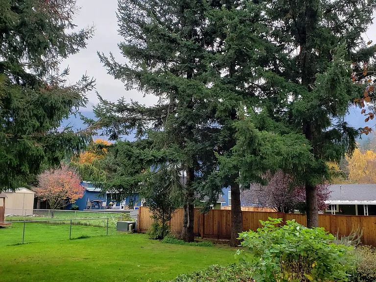 yard