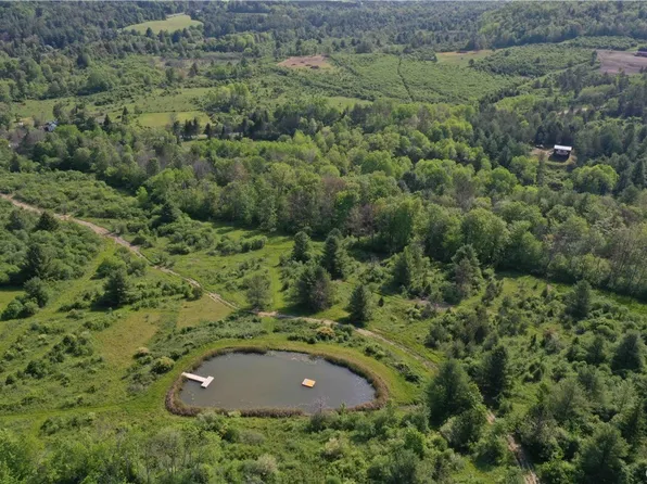 4023 Irish Settlement Rd, Belmont, NY 14813