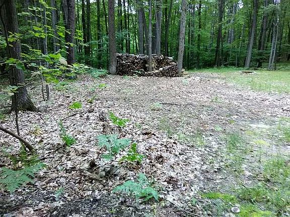 4th image of Lot 119 Elm Run