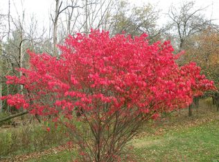 447 Route, Greentown, PA 18426