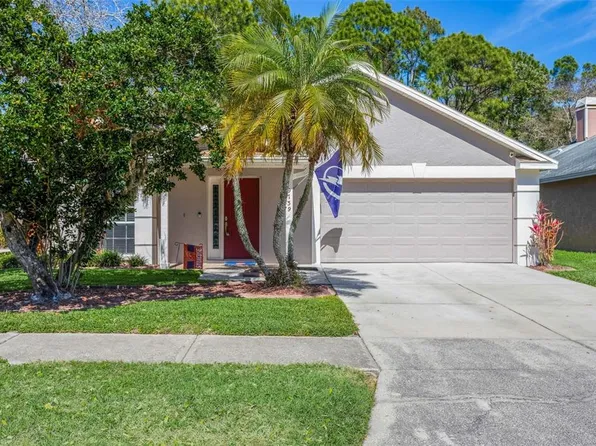 9739 Fredericksburg Rd, Tampa, FL 33635