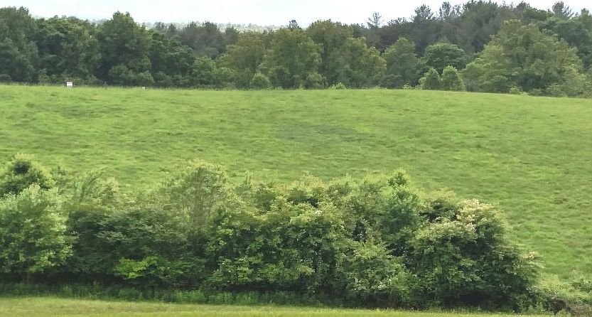 2nd image of 75 Cider Ln