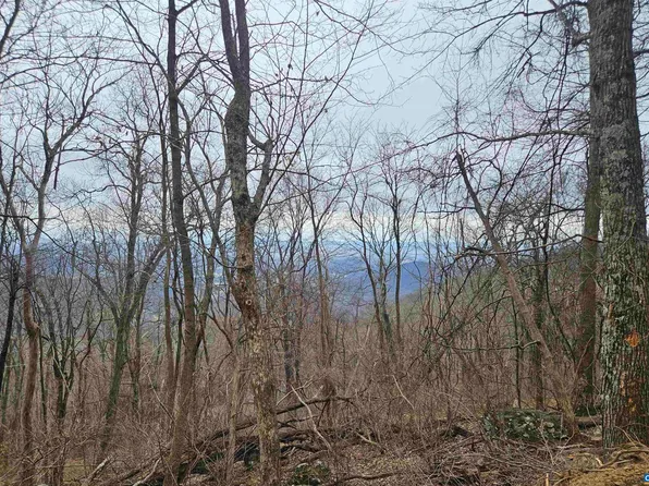 17 & 18 Spring Branch Ln, Free Union, VA 22940