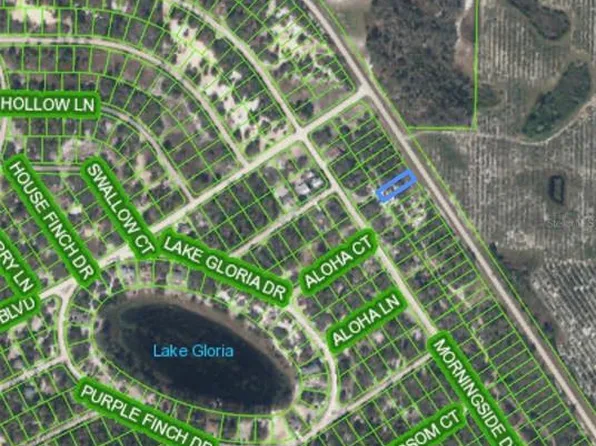 835 CR-29 LOT 9, LAKE PLACID, FL 33852