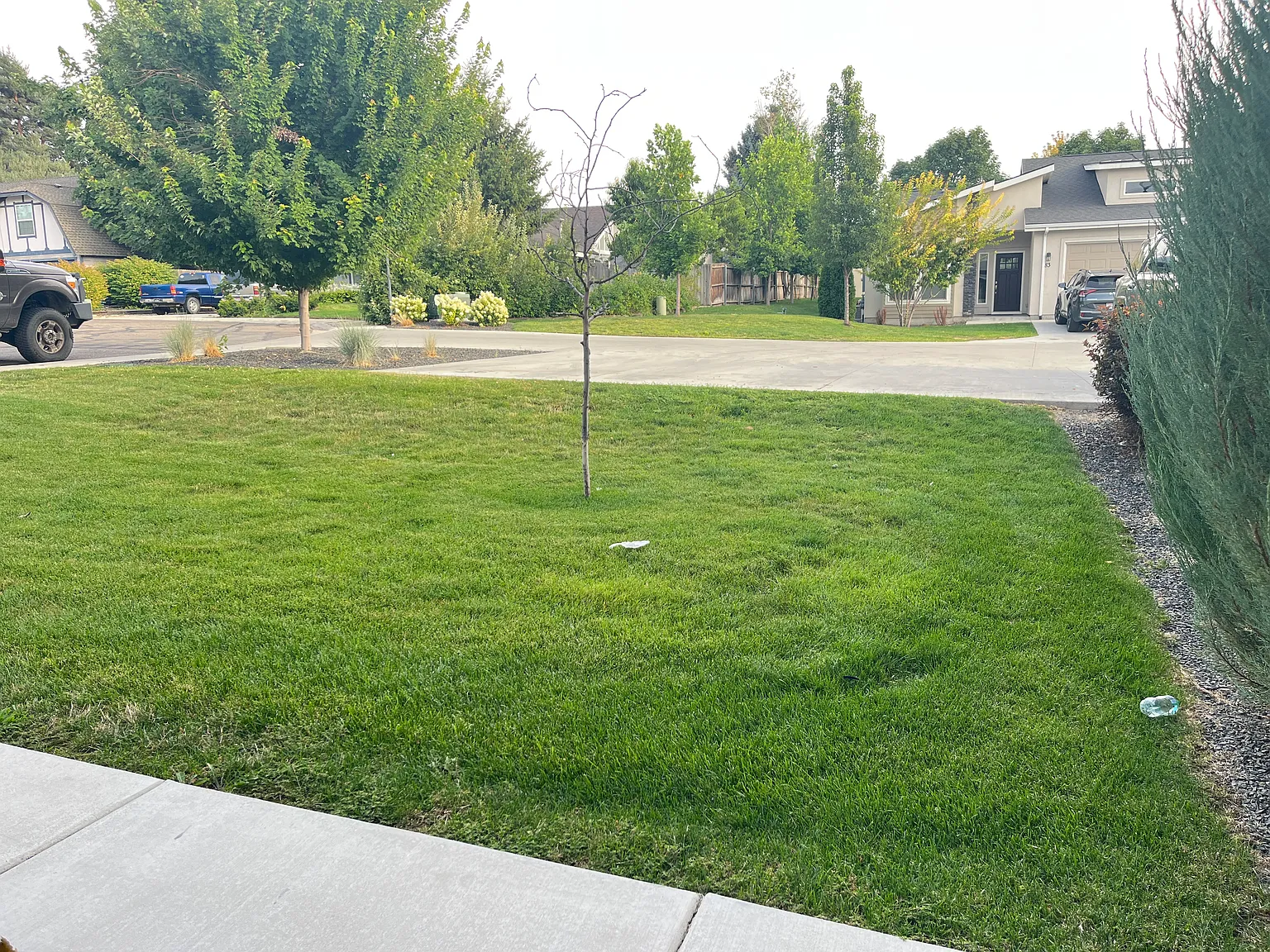 3 bed, 2.5 bath, 1962 sqft, $2,700 — Photo 4