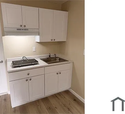 Studio, 300 sqft, $1,395 — Photo 4
