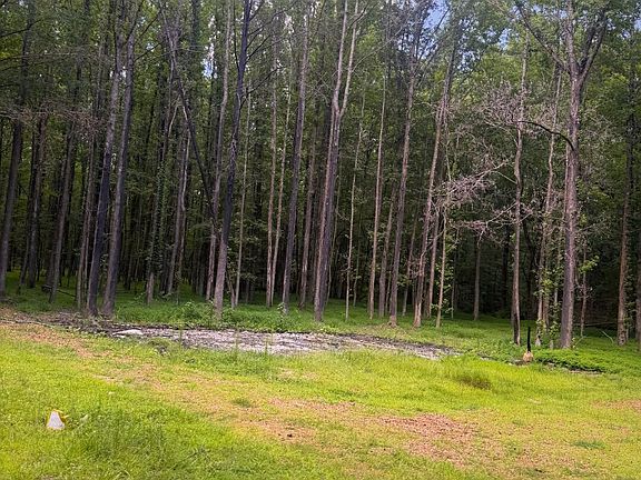 5th image of 1147 Broom Rd