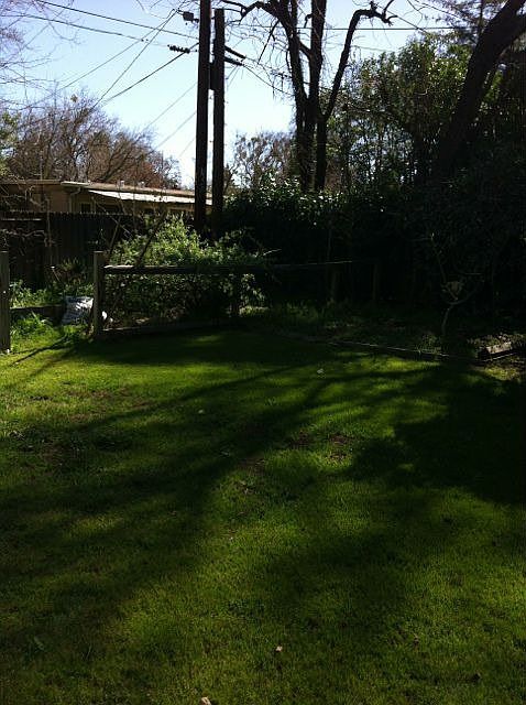 Back yard