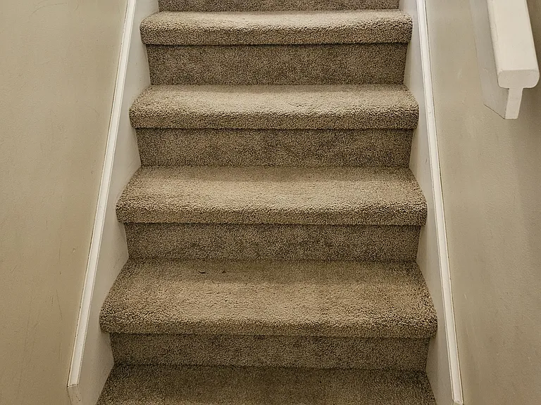 315 Silver Leaf Dr — Photo 18