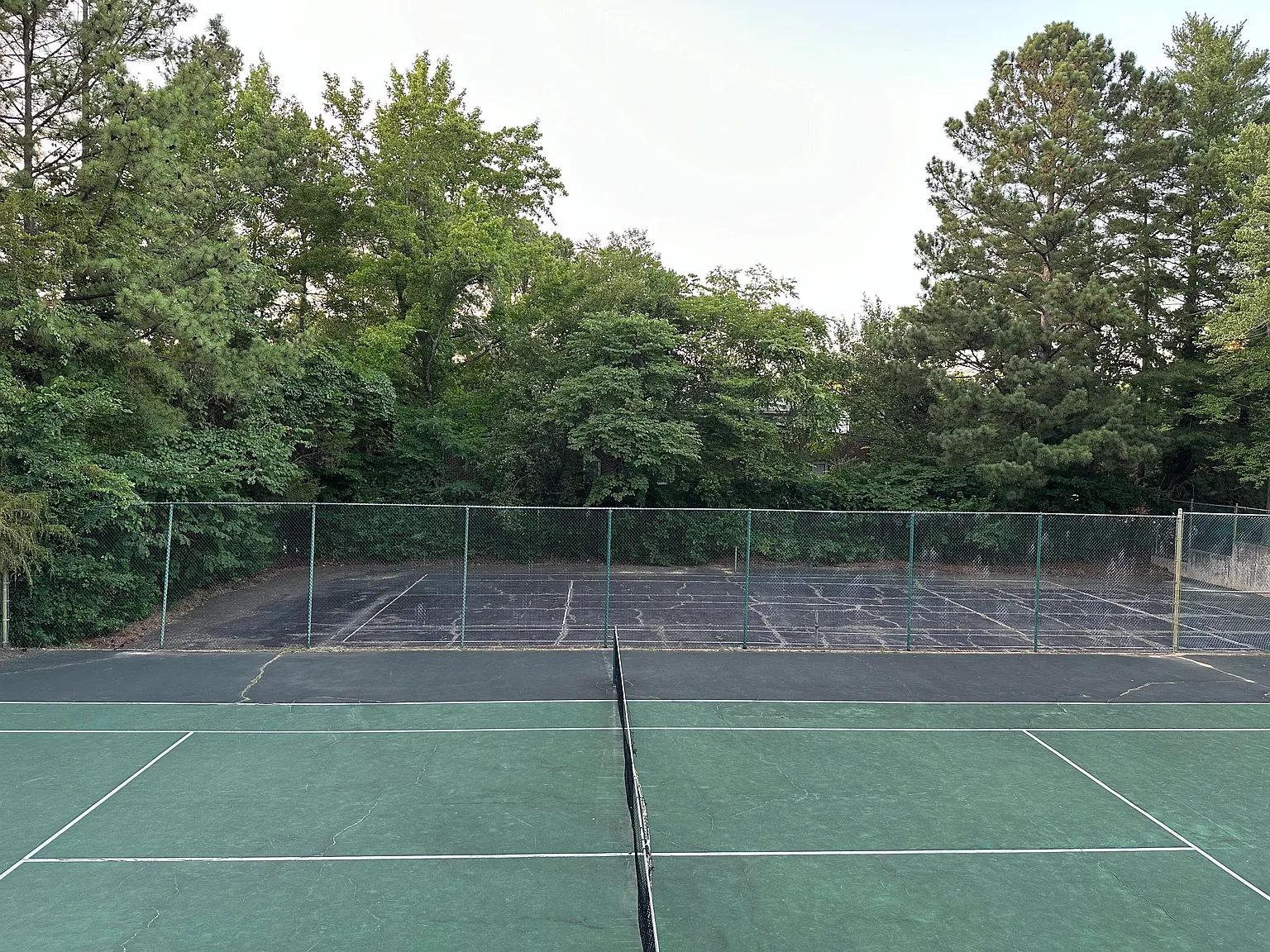 2 bed, 900 sqft, $1,800 — Photo 3