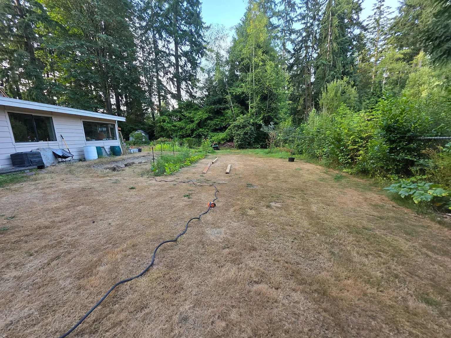 3 bed, 1486 sqft, $3,500 — Photo 4