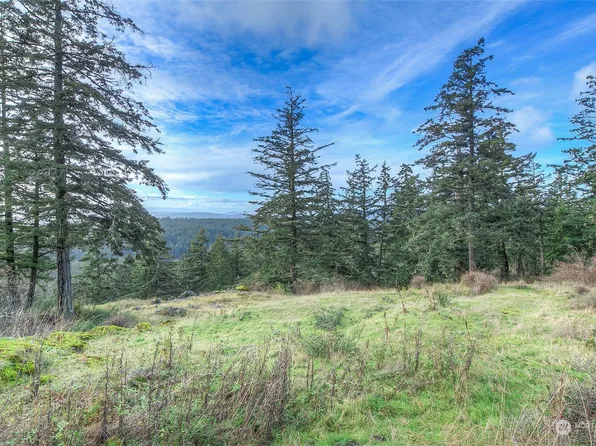 0 2 NW Rustic Homestead Lane, Orcas Island, WA 98280