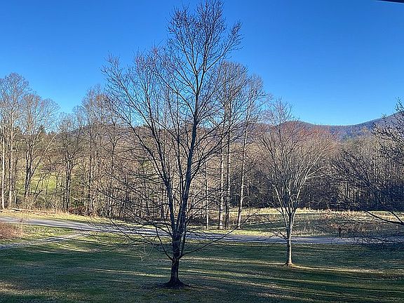 View from the front porch 