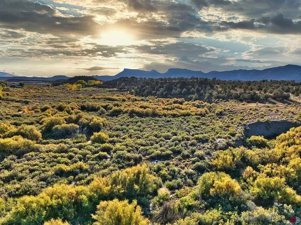 TBD Hwy 160, Cortez, CO 81321