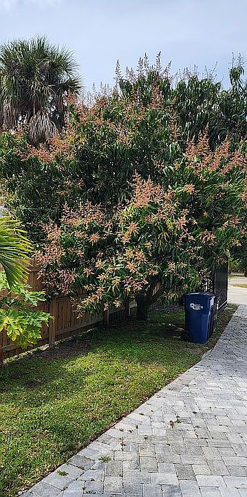 2nd image of 501 Palma Sola Blvd