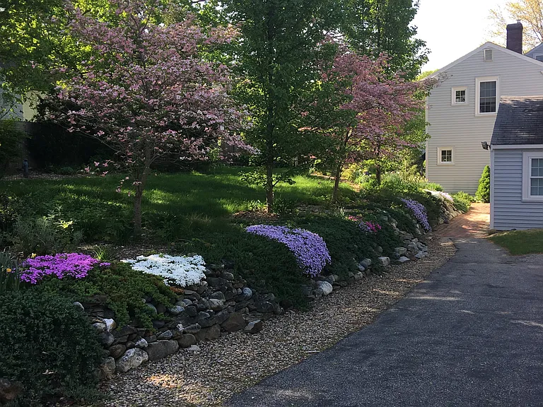 Spring time along central driveway (from Auburn St), leading to the unit entrances