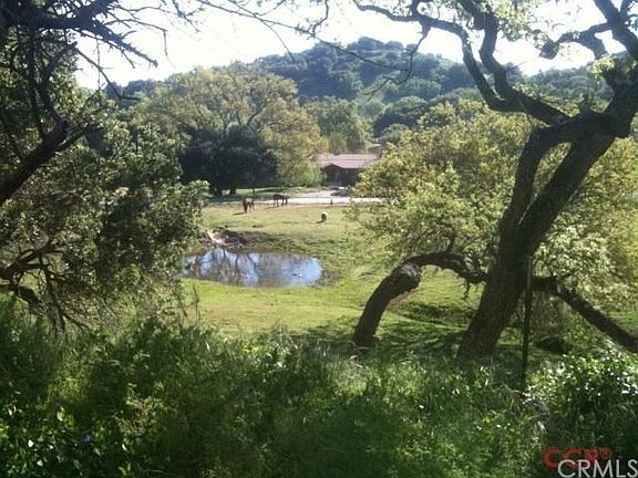 View of the seasonal pond from the front yard after a wet winter.