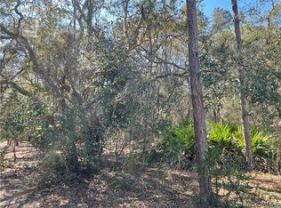 3770 Kingfisher St, Inverness, FL 34450