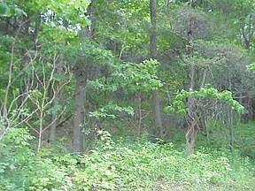 2nd image of 438 N Ohioville Rd
