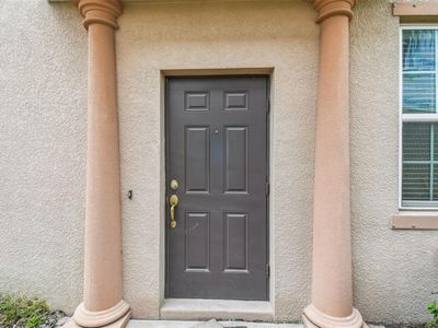 4925 White Sanderling Ct, Tampa, FL, 33619