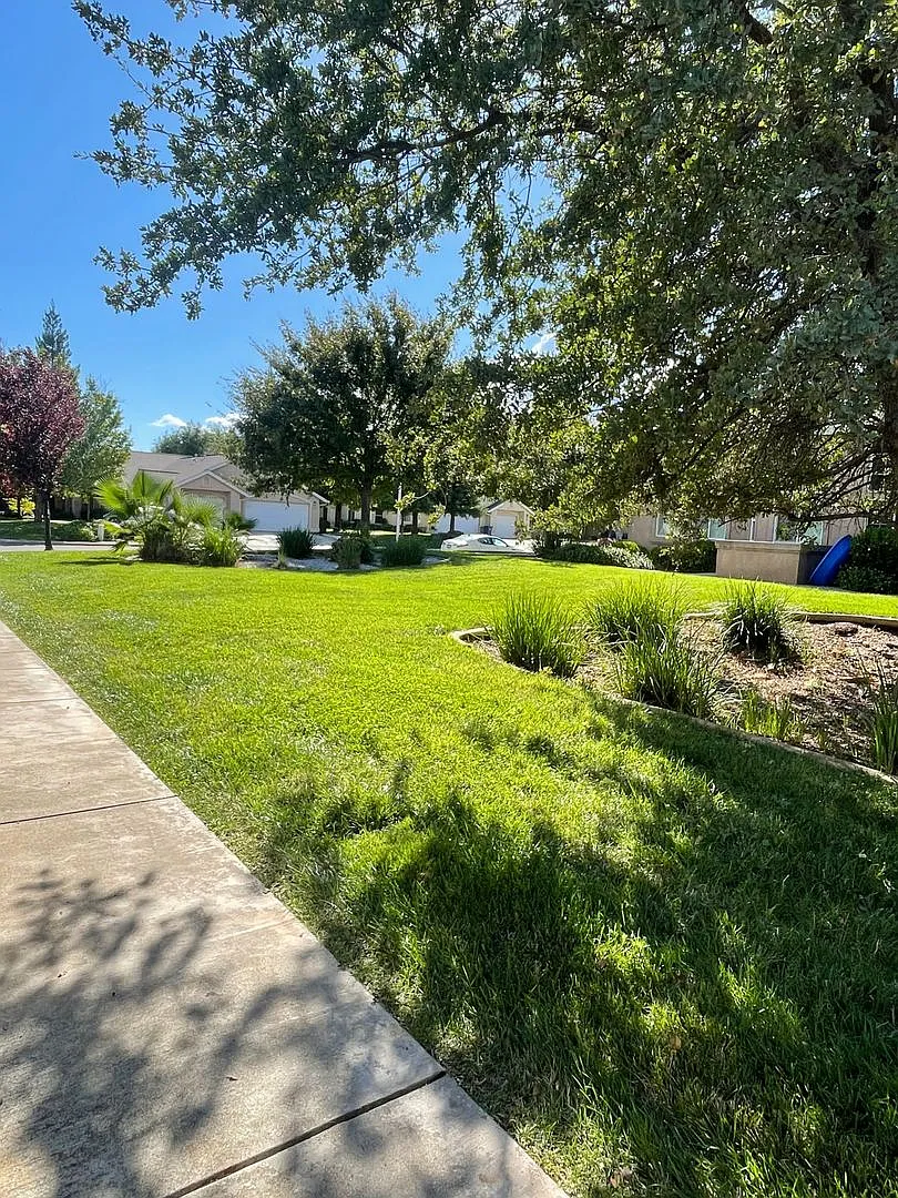 1278 Mighty Oak Lane — Photo 3