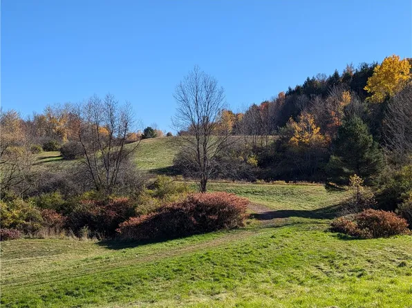 0 Dunshee Rd #29, Sidney Center, NY 13839