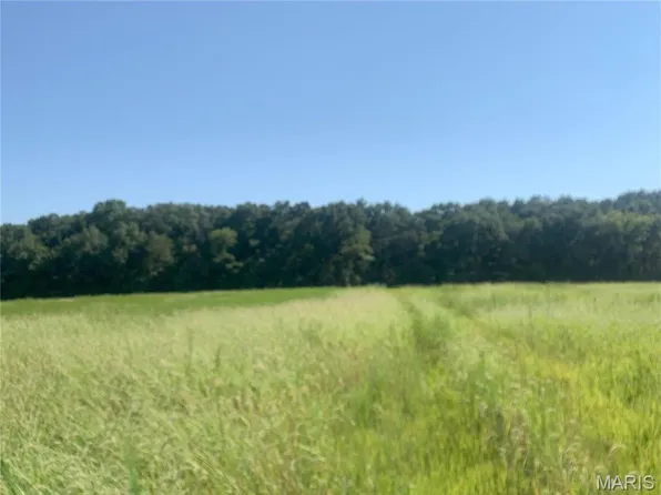 0 Polston Ln Tract 2B, Marthasville, MO 63357