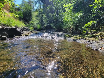 LOT 21 Lack Creek Dr, Shingletown, CA, 96088