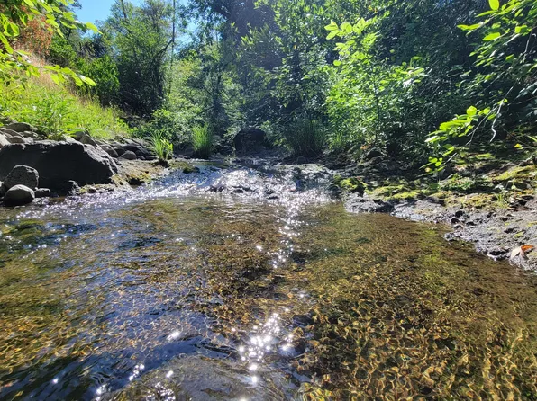 LOT 21 Lack Creek Dr, Shingletown, CA 96088