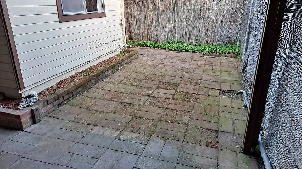 Back patio