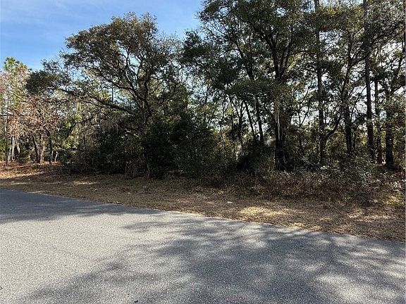 5th image of 11009 N Morrell Dr