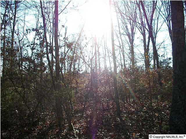 2nd image of 79 County Rd