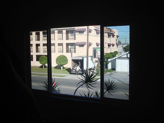 Window