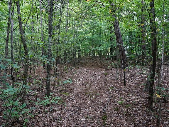 4th image of 0 Cherry Row Ln Lot 94Q